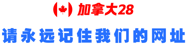 28预测之家
